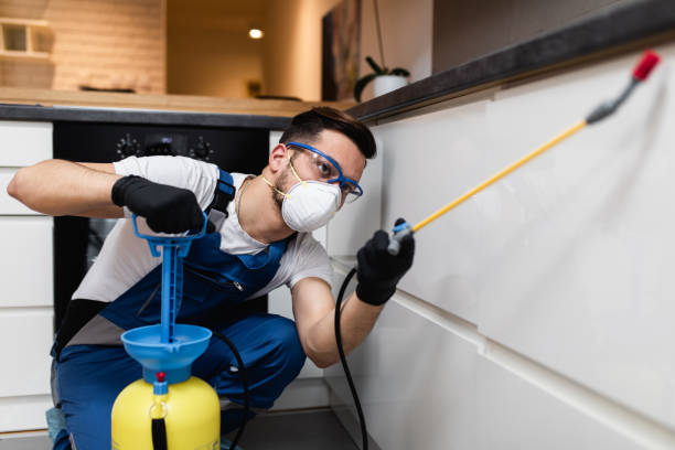 Best Pest Prevention Services  in Salisbury, MO