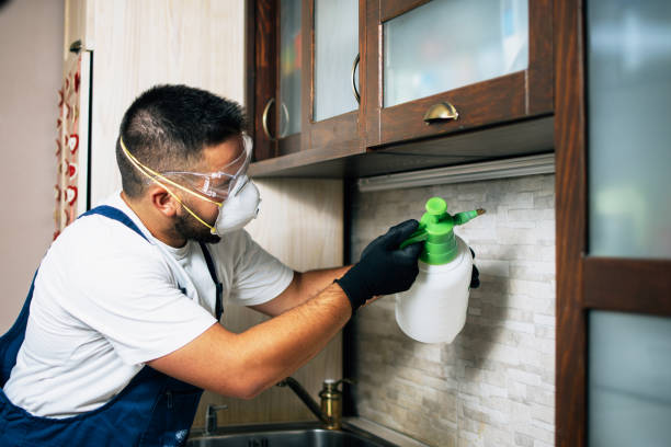 Best Cockroach Control Services  in Salisbury, MO