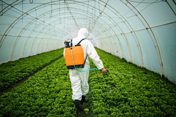 Best Pest Removal Services  in Salisbury, MO