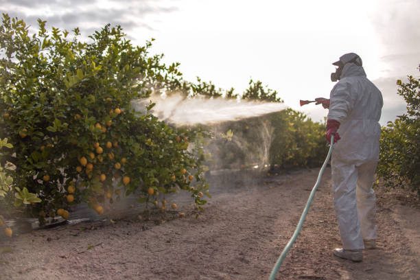 Best Emergency Pest Control  in Salisbury, MO