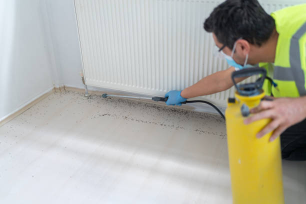 Best Best Pest Control Companies  in Salisbury, MO