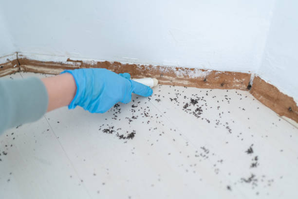Best Pest Control for Restaurants  in Salisbury, MO