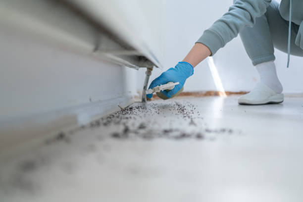 Best Pest Control Near Me  in Salisbury, MO